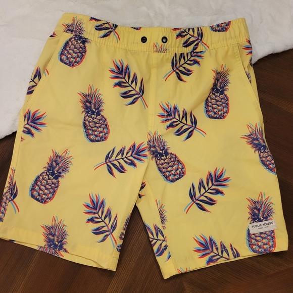 Boys Public Access Boardshorts SzL - Picture 1 of 8
